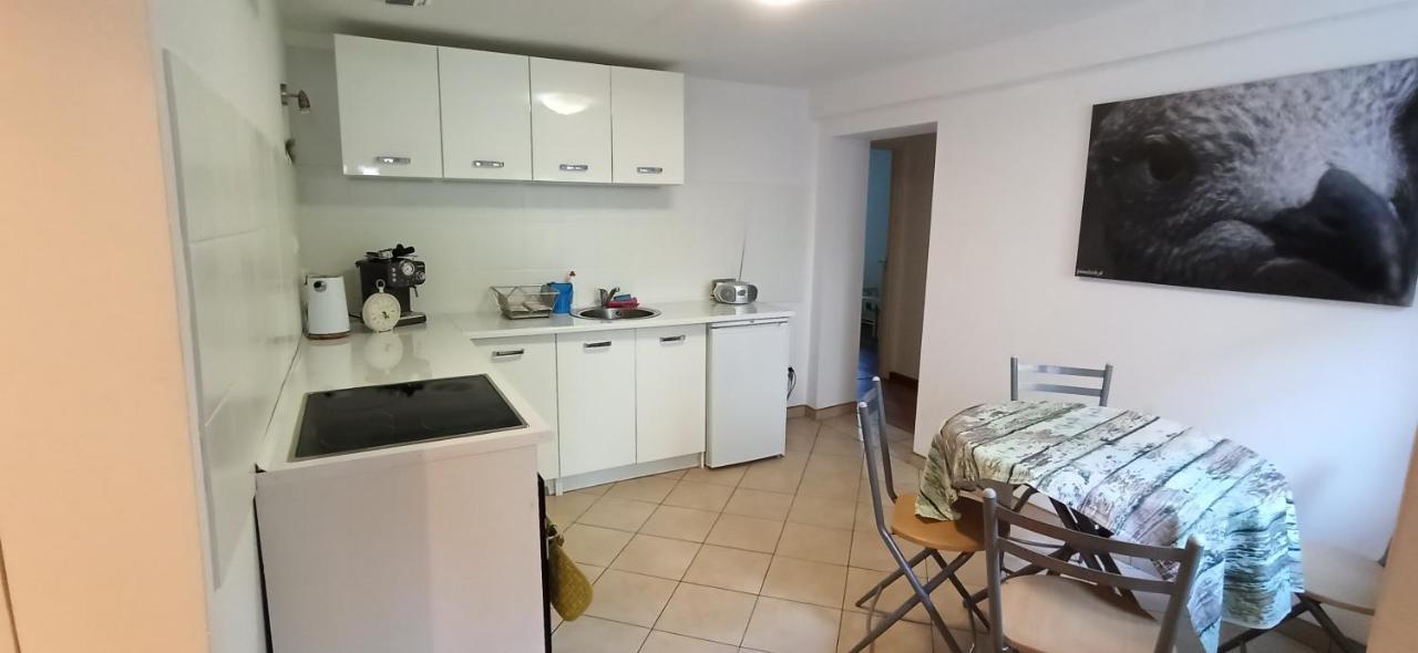 Apartament u Sikorek Jelenia Gora Bagian luar foto